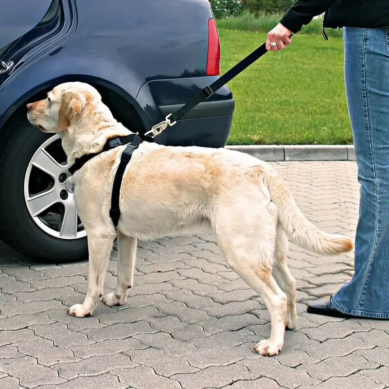 Trixie centură de siguranță și ham auto pentru câini Bestseller