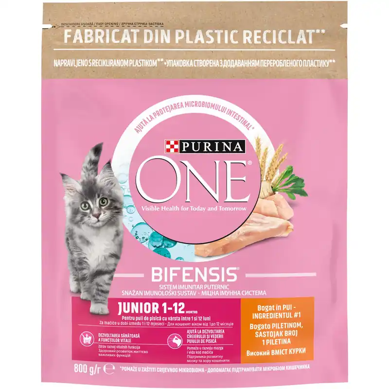 PURINA ONE Hrană uscată pentru pisicuţe JUNIOR, cu Pui 800g Vezi acum
