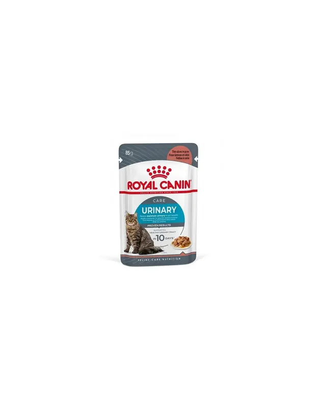 Calitate înaltă Royal Canin Cat Urinary Care in sos, 2 x 12 x 85 g