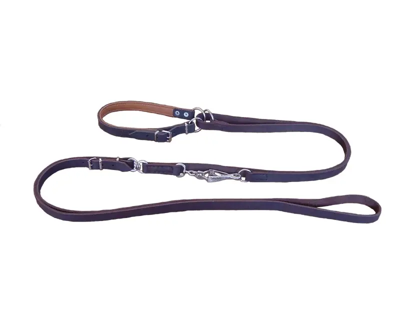 Plată securizată Lesa cu zgarda din piele caini