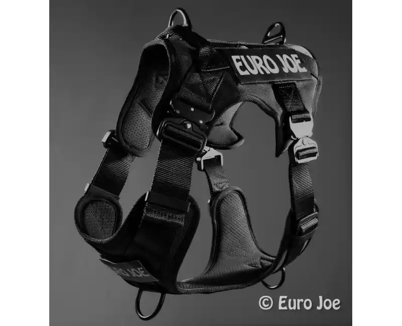 Noutate Ham tactic Cobra Euro Joe M