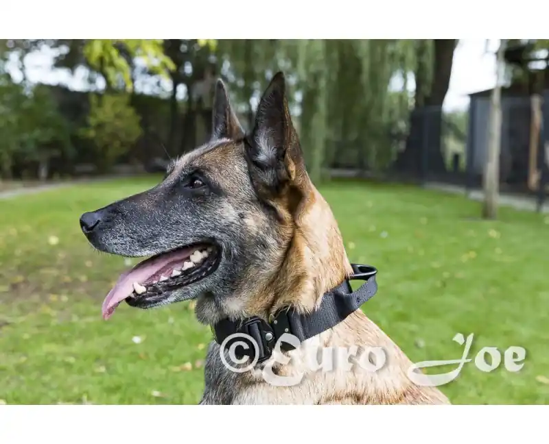 Zgarda Tactica Cobra Euro Joe L Reduceri