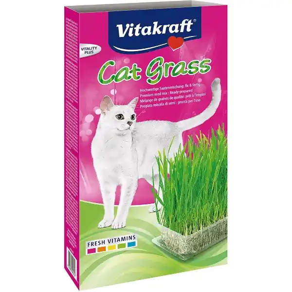 Doar azi Iarba pisicii Vitakraft 120g