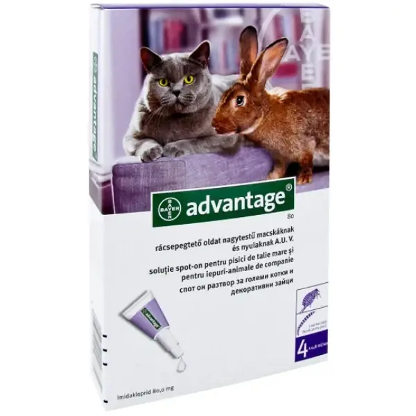 Preț mic Advantage 80 >4kg
