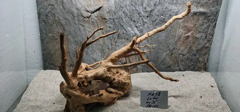 Lemn red moor,nr58 Ofertă exclusivă