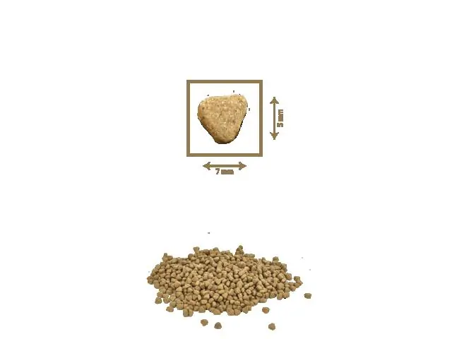 Hrana uscata pentru pisici Petkult Gourmandise 2 kg Preț promoțional