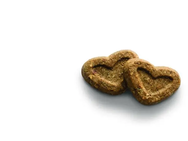 Preț promoțional Recompense pentru caini biscuiti Canagan Grain Free cu somon 150g