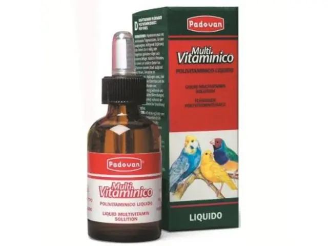 Disponibil imediat Vitamine pentru pasari Padovan Multi Vitaminico 30 ml