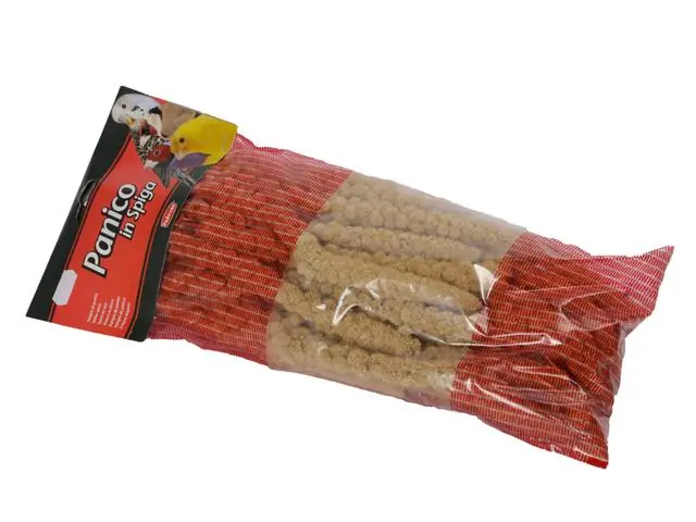 Popular Hrana pentru pasari Panico in Spiga 250g