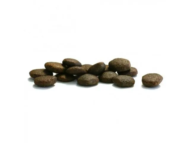 Hrana uscata pentru caini Canagan Grain Free Adult Somon 2kg Comandă acum