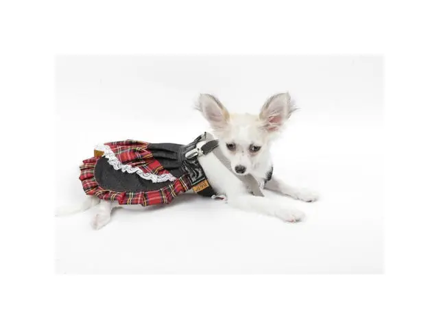 Rochie jeans pentru caini B&B Pet Fashion 30 cm Ofertă de sezon