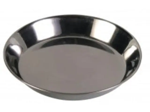 Castron din inox pentru pisici Trixie 13 cm Promoție