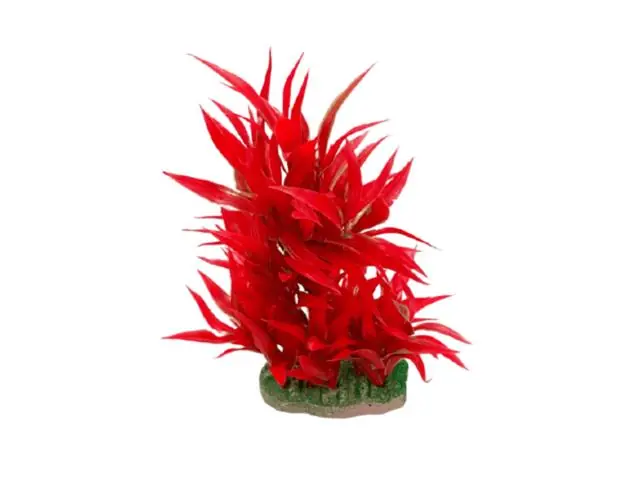 Promoție Planta din plastic pentru acvariu Rotala Macrandra 16cm
