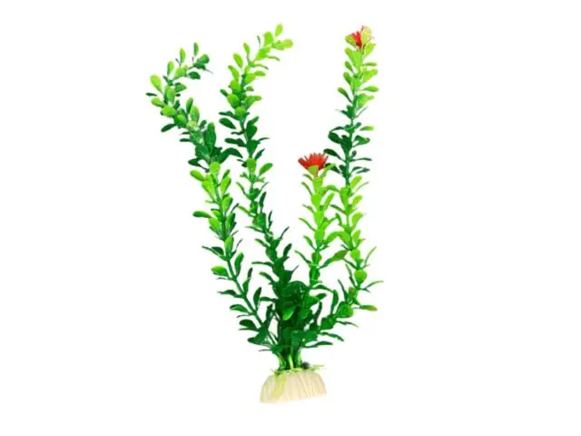 Planta decorativa pentru acvariu Enjoy Egeria 20cm Ieftin