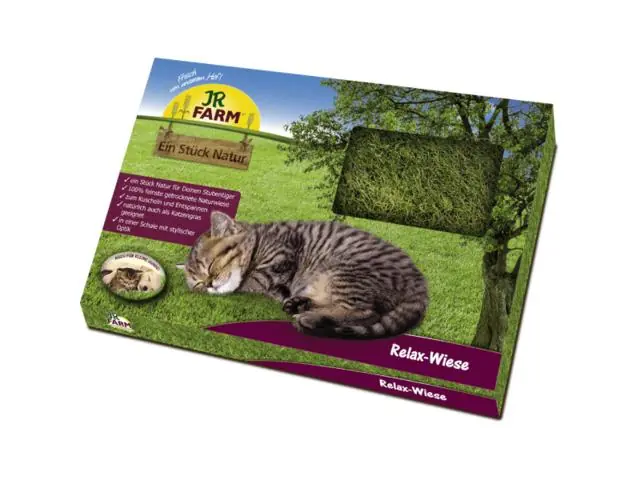 Mai ieftin Pajiste relaxanta pentru pisici Catnip JR FARM