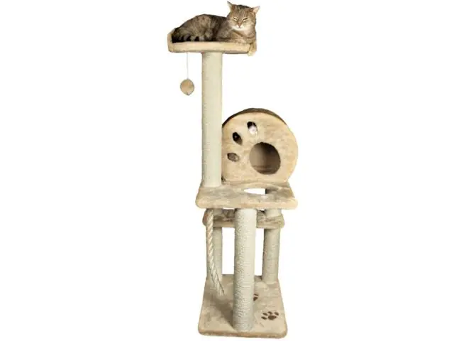 Preț mic Ansamblu de joaca pentru pisici Trixie Salamanca Bej 43731 138 cm