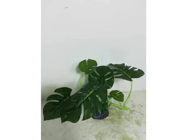 Preferatul clienților Decor pentru acvariu Enjoy Planta plastic 17x20cm 76001