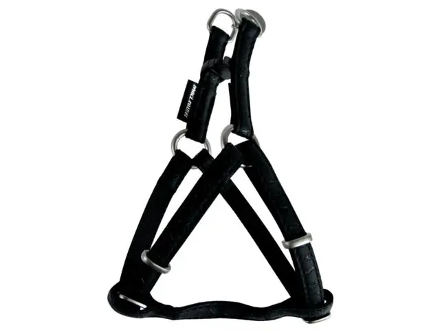 Ham negru reglabil pentru caini Macleather 15mm Z 522055NO Noutate