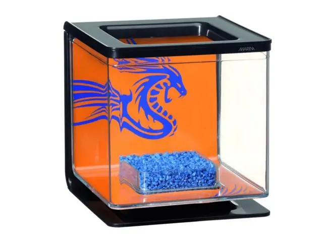 Kit complet pentru pesti Betta Marina Kit Boy Super ofertă
