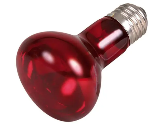 Reduceri Lampa infrarosu pentru terariu Trixie R63 63x100mm 50W