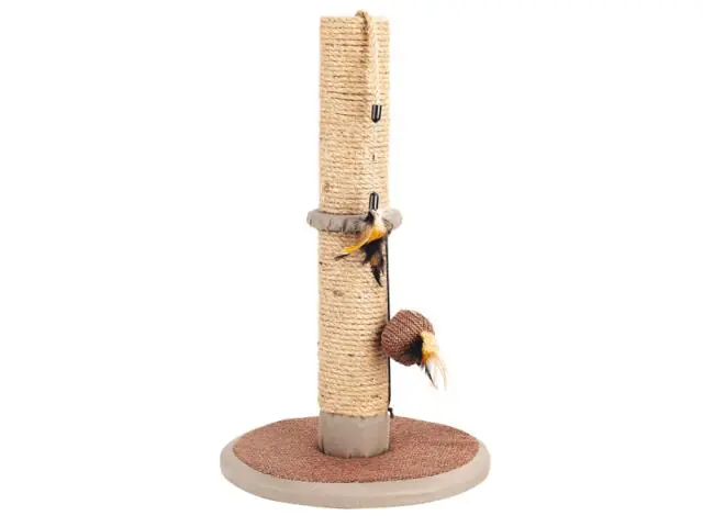 Noutate Sisal pentru pisici Pawise Robust