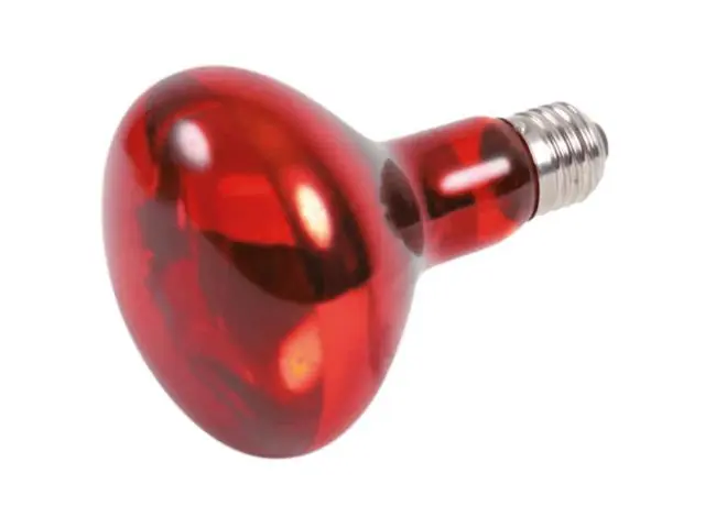 Lampa infrarosu pentru terariu Trixie Reptiland 80x108mm 100W Chilipir