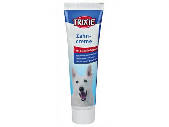 Crema pentru dinti cu gust de carne Trixie 100g Reducere specială