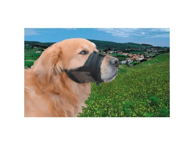 Retur ușor Botnita reglabila pentru caini Nobby 20-27cm NR.3