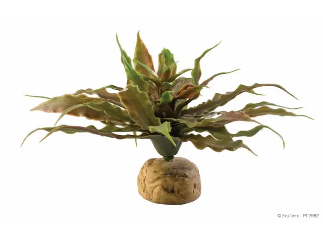 Cumpără acum Decor pentru Terariu Exo Terra Planta Star Cactus