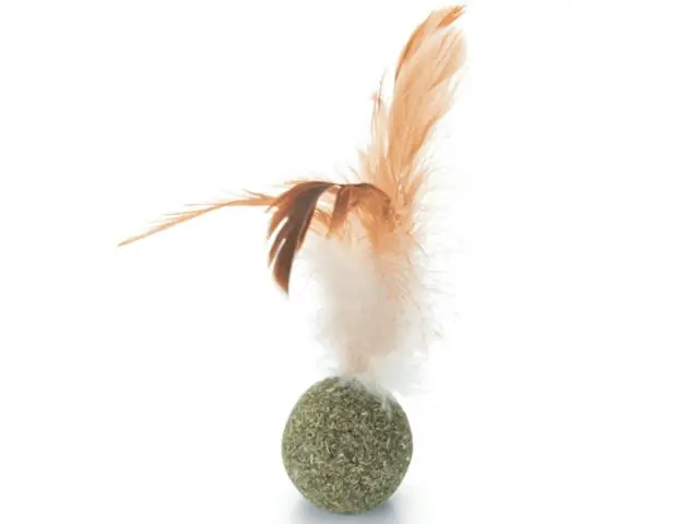 Preț promoțional Jucarie pentru pisici Beeztees Bila Catnip cu pene 12cm