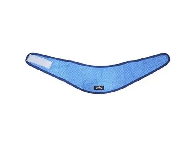 Bandana racoritoare pentru caini Pawise Cooling Bandana L 54.5X15.5 cm Popular