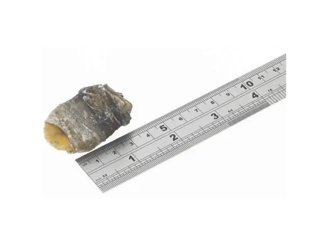 Ofertă limitată Recompensa pentru caini Fish4Dogs Love Snack Rulouri Banana&Piele peste 100g