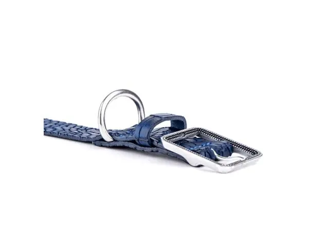 Zgarda pentru caini MyFamily Tucson Albastru 44-54cm Plată sigură