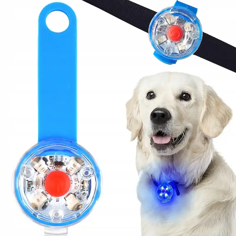 Cel mai bun preț Pandantiv LED pentru zgarda, Zola, 3 moduri de iluminare, rezistent la apa, plastic, albastru