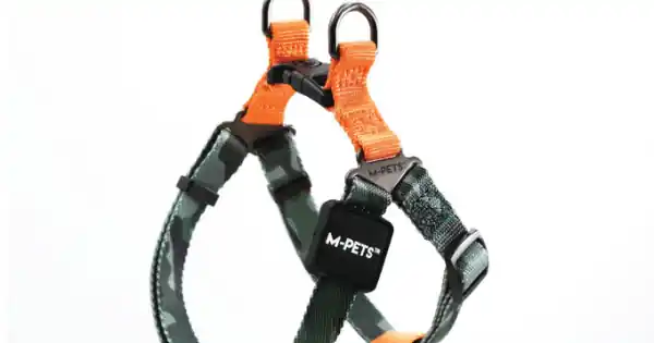 10838799 WILD Jungle Harness XS Lichidare de stoc