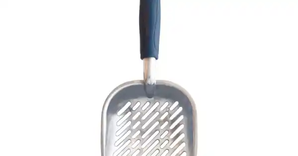 20100011 CHROME SCOOP - Metal Popular
