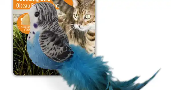 Super ofertă All for paws Jucarie Bouncing Bird pentru Pisici