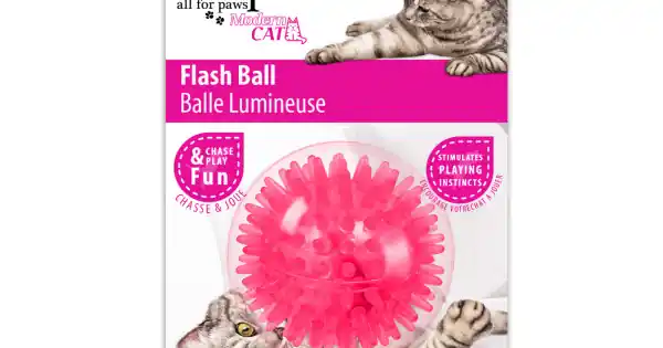 All for paws Jucarie Flash Ball pentru Pisici Mai ieftin