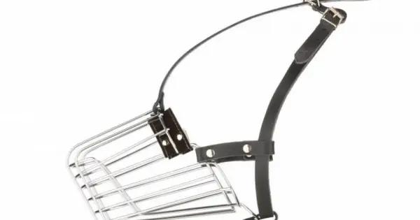 Botnita de metal, cromata, captusita cu neopren, circumferinta 34.5 cm x lungime 11.5 cm x inaltime 12 cm Livrare rapidă