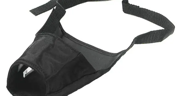 Botnita nylon pentru caini de talie medie, confortabila, reglabila Cumpără acum