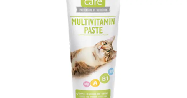 Chilipir Brit Care Cat Paste Multivitamin 100 g