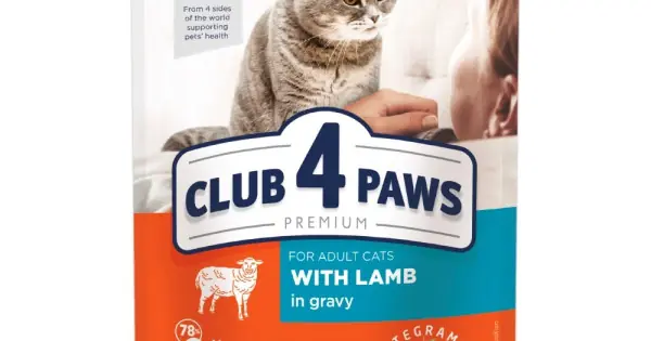 Discount Club 4 Paws Cat - Hrana umeda premium - Miel - 100g