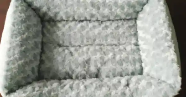 Culcus dreptunghiular pentru caini Enjoy 60x55x20 cm Disponibil imediat