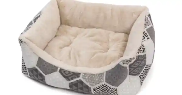 Preț redus Culcus pentru caini Leopet Rodi 60x70 cm Bej