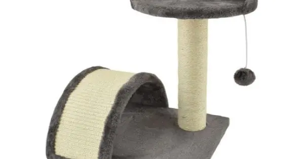 Popular Culcus pentru pisici cu sisal Savanna, gri - 36x36x44 cm