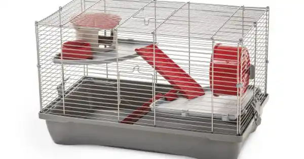 Disponibil imediat Cusca pentru hamsteri MPS 53x32x38 cm