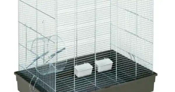Cusca pentru veverite MPS Lux Cromo 66x45x76 cm Mai ieftin