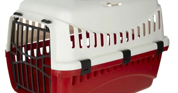 Cusca transport plastic - Bordo - 45 x 30 x 30 cm - Bordo Ofertă de sezon