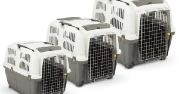 Cusca transport Skudo lata Bestseller