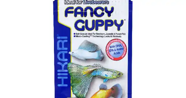 Dieta stiintifica pentru pesti tropicali HIKARI FANCY GUPPY 22g Lichidare de stoc